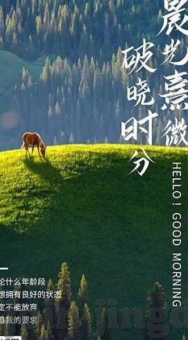 八妻子大象传媒视频-八妻子与大象传媒，文化与现实的交织