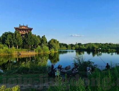 美国伦理片-探索美国伦理片的复杂魅力，从熔炉到纸牌屋的道德边界